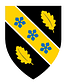 University of Wales Trinity Saint David Logo