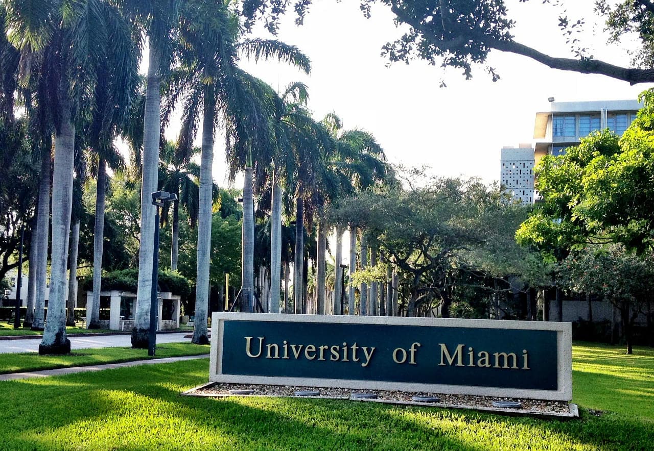 University of Miami Featured Image