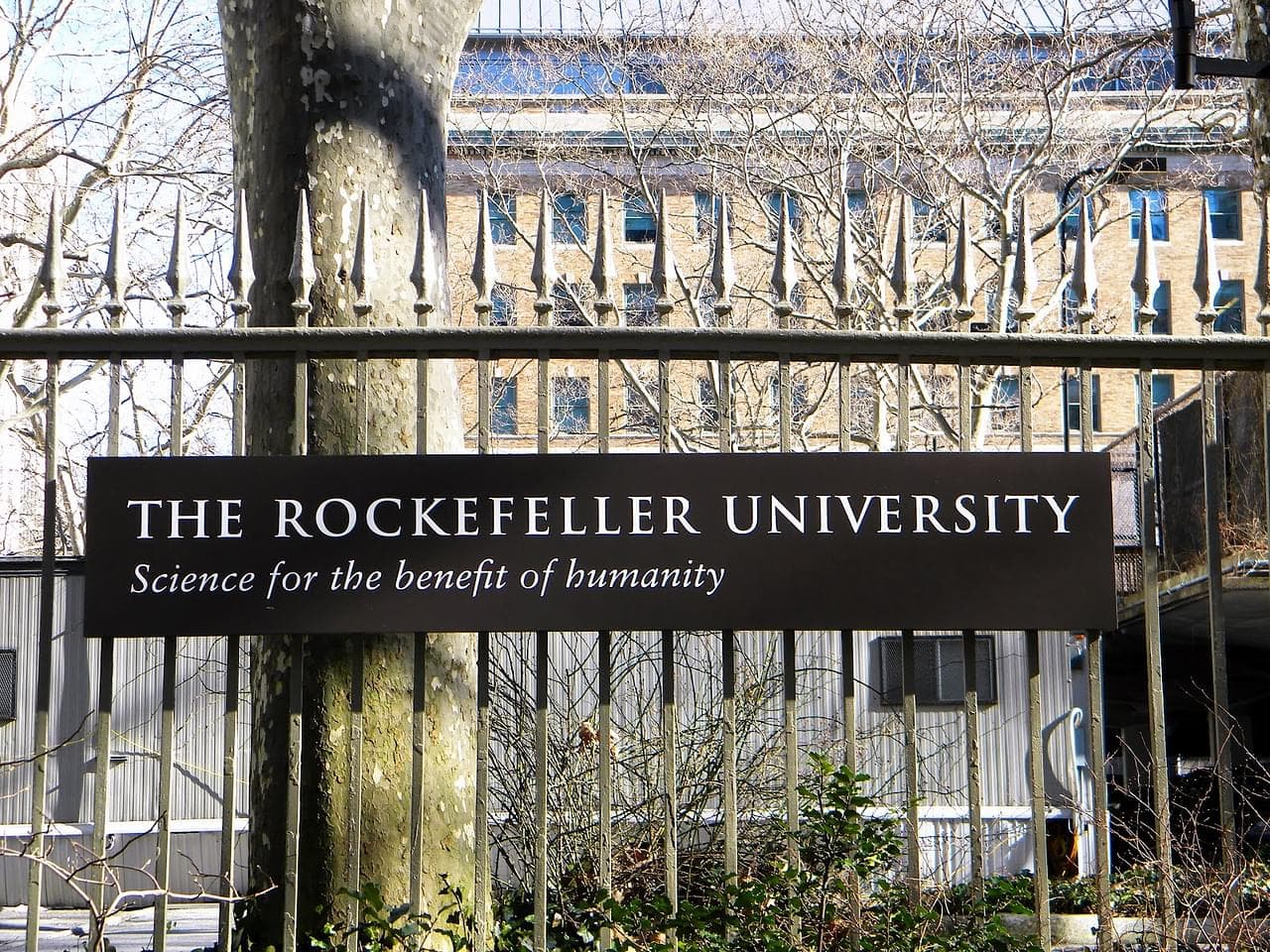 Rockefeller University Featured Image