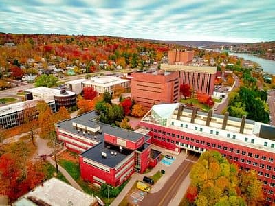 Master of Forest Molecular Genetics and Biotechnology (M.Sc)