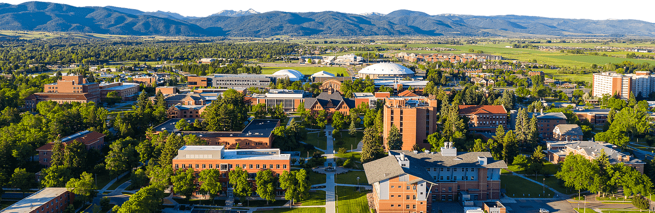 Montana State University Featured Image