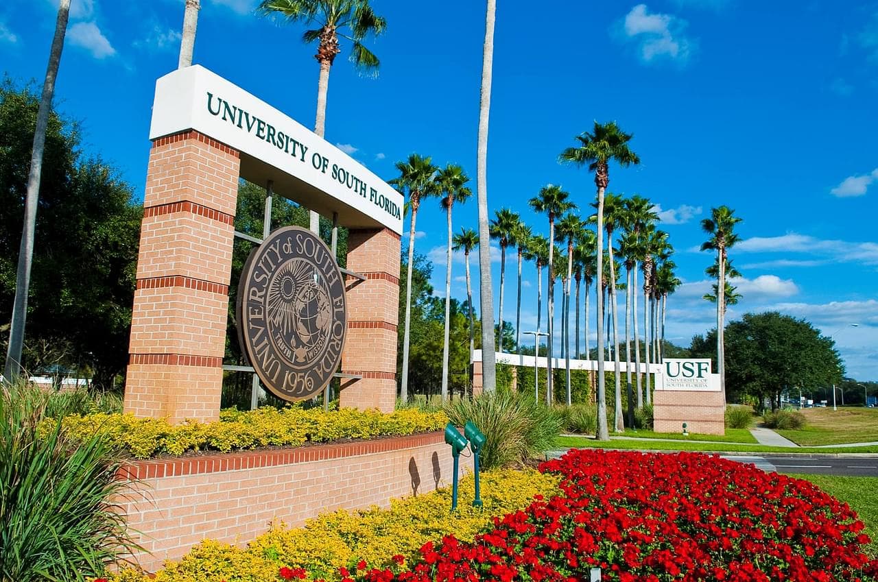 University of South Florida Featured Image
