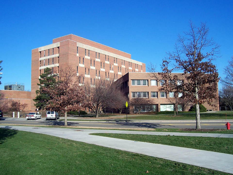 Michigan State University Featured Image