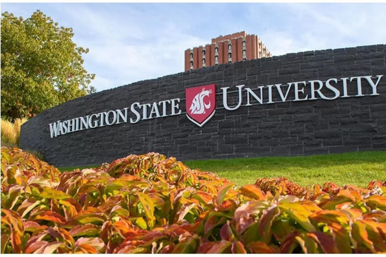 Washington State University Featured Image