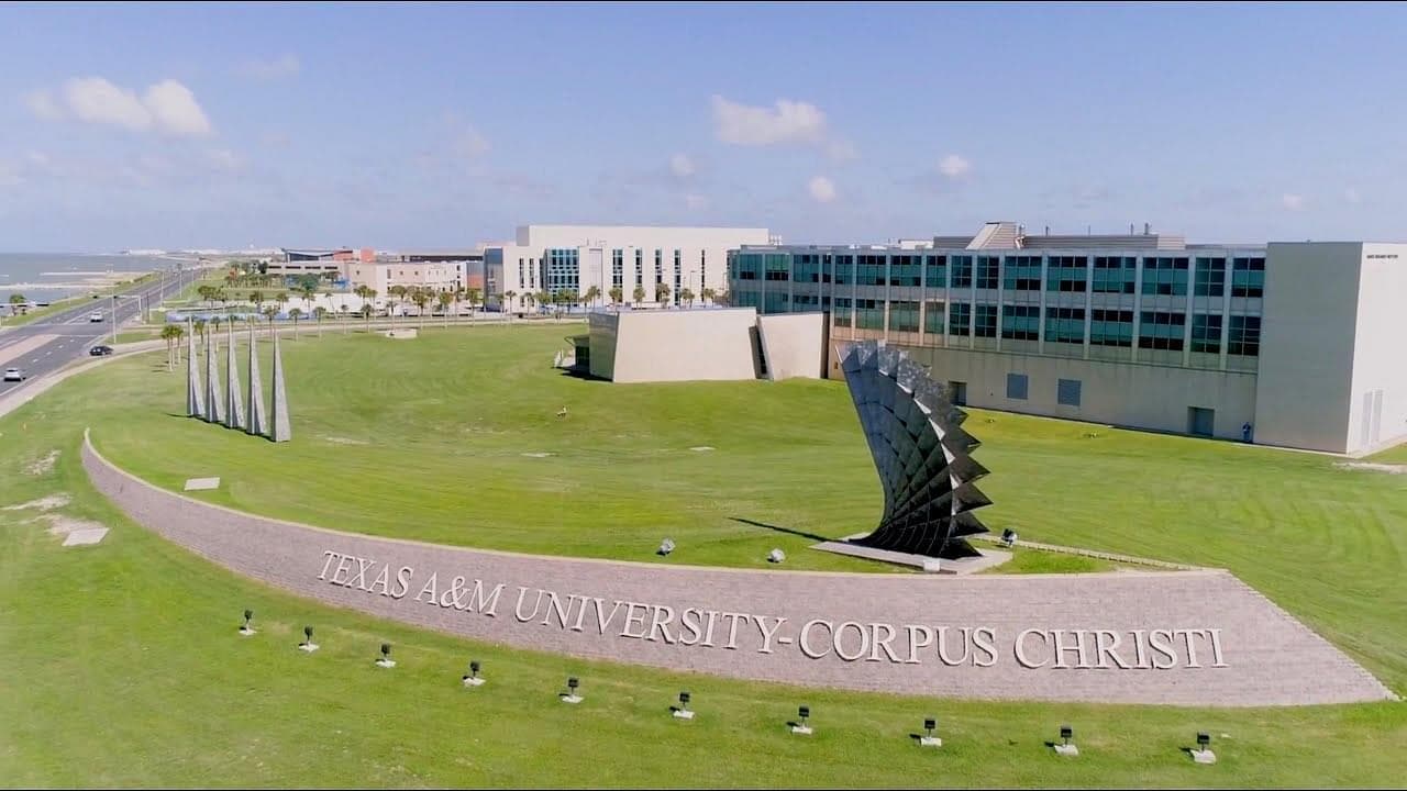 Texas A&M University - Corpus Christi Featured Image